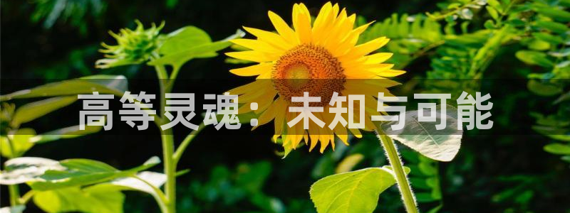 爱与杀意之夜包子漫画：高等灵魂：未知与可能