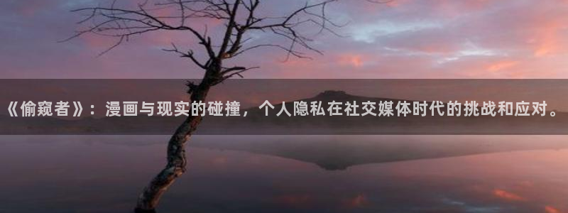 掌门低调点包子漫画：《偷窥者》：漫画与现实的碰撞，个人隐私在社交媒体时代的挑战和应对。