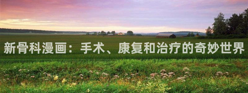 星辰于我包子漫画：新骨科漫画：手术、康复和治疗的奇妙世界